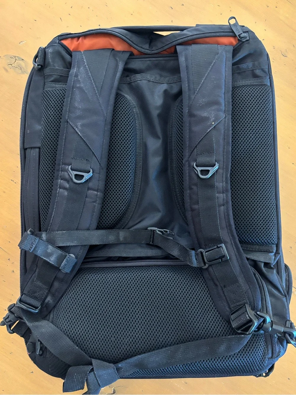 eBags Everyday Black Men's Backpack